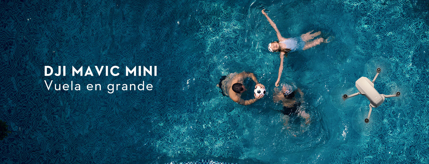 Drone DJI Mavic Mini Drone DJI Mavic Mini