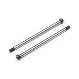 Hinge Pin Set (Rear Outer 2 Pcs)