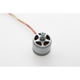 Motor CW (2312A) - DJI P3 (Adv/Pro)