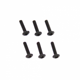 3*14 Perno (6pcs) 02097